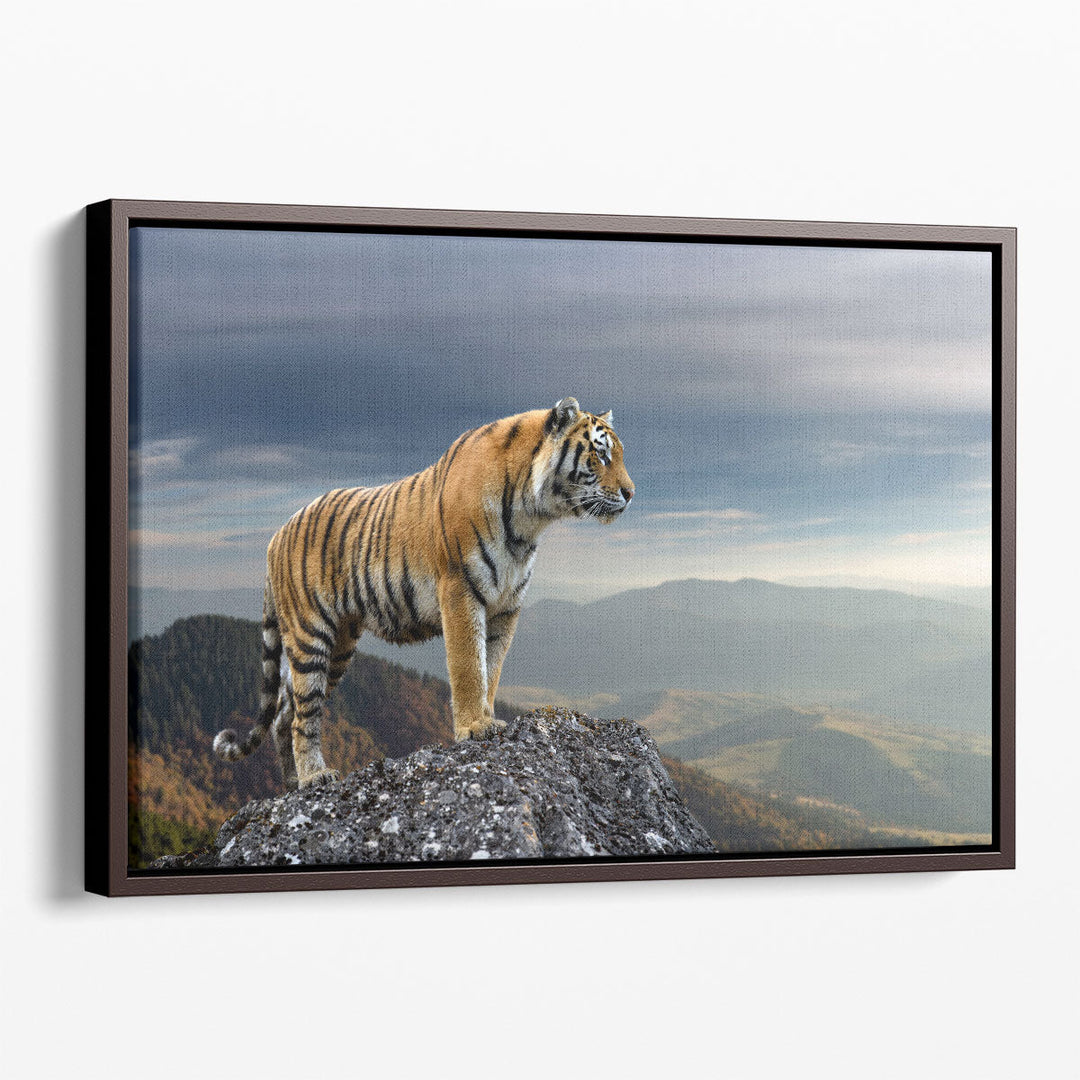 Tiger Standing On a Rock - Canvas Print Wall Art