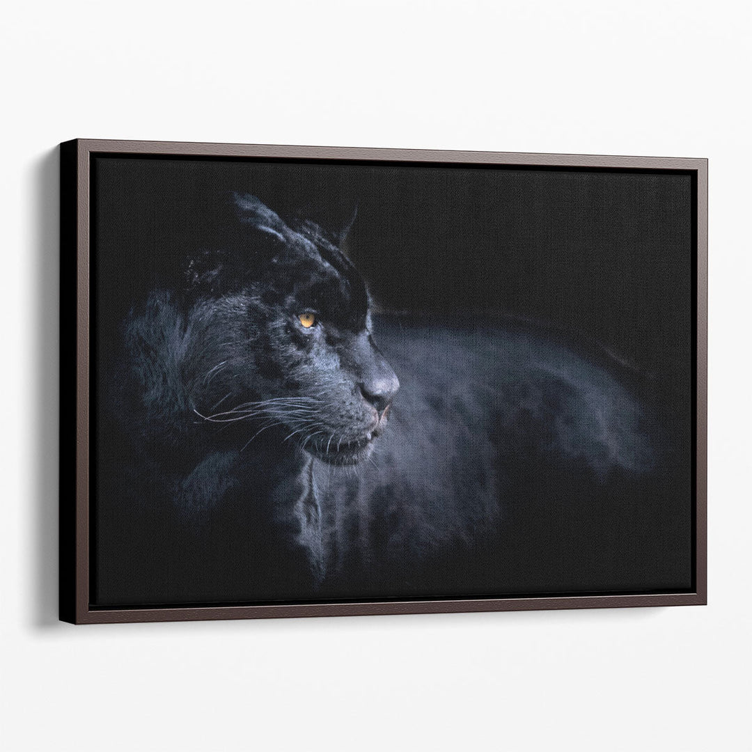 Black Panther with a Black Background - Canvas Print Wall Art