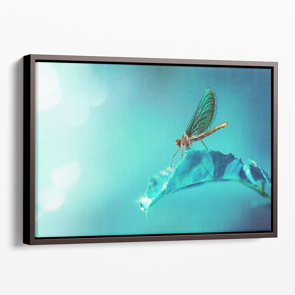 Dragonfly on Leaf With A Drop of Morning Dew - Canvas Print Wall Art