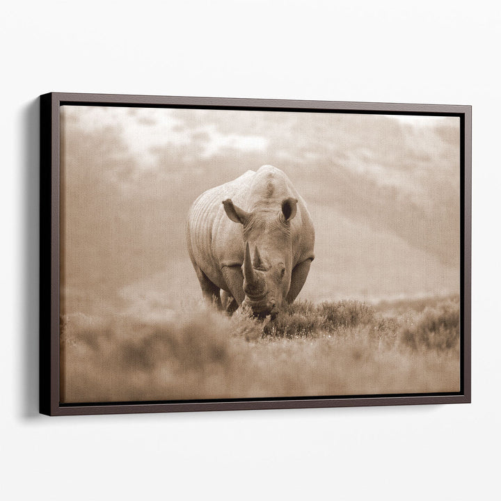 A White Rhino With Big Horns in South Africa - Canvas Print Wall Art