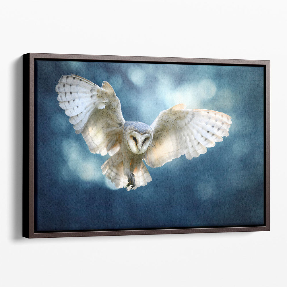 Hunting Barn Owl in Flight - A Wildlife Scene - Canvas Print Wall Art