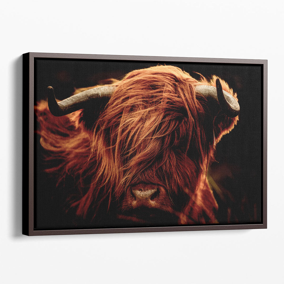 A Close-Up of Highland Cows - Canvas Print Wall Art