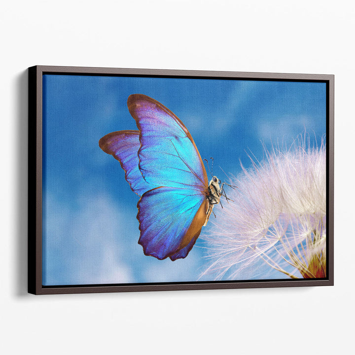 Morpho Butterfly and Dandelion Flower with Blue Sky - Canvas Print Wall Art