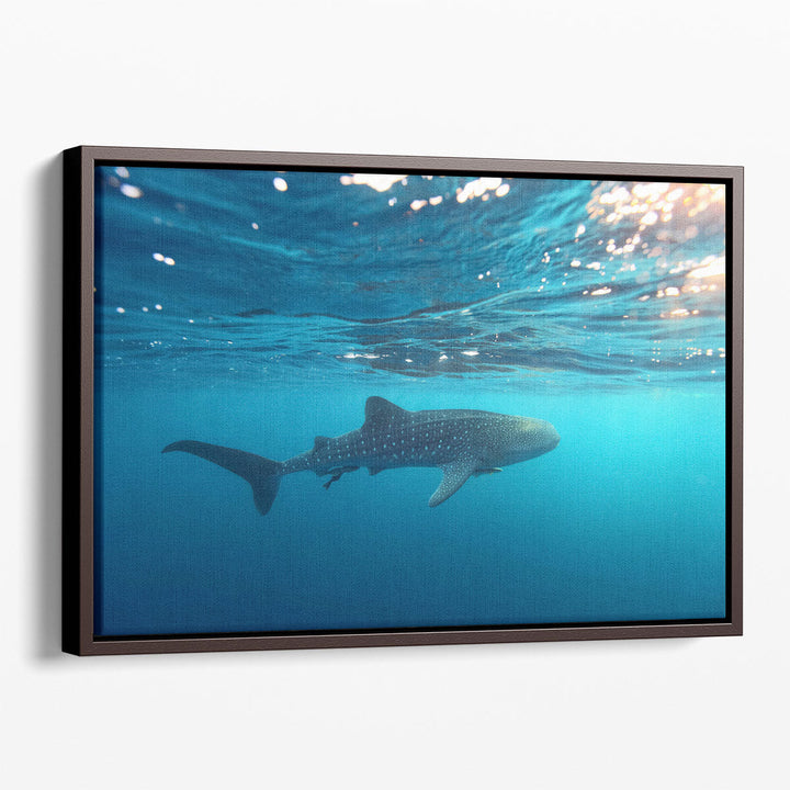 Whale Shark Swimming Near the Water Surface - Canvas Print Wall Art