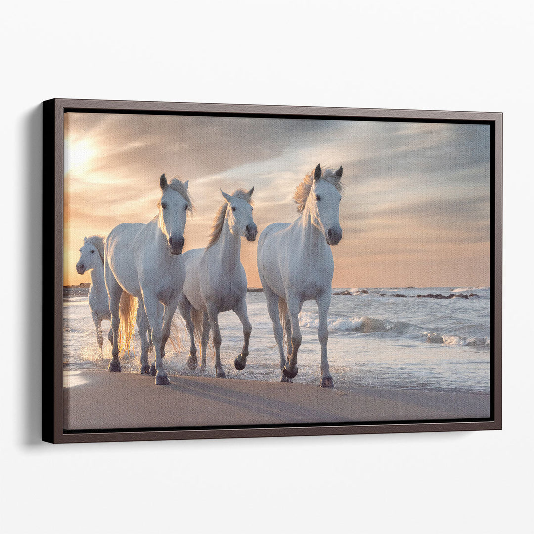 Herd of White Horses Running Through The Water - Canvas Print Wall Art