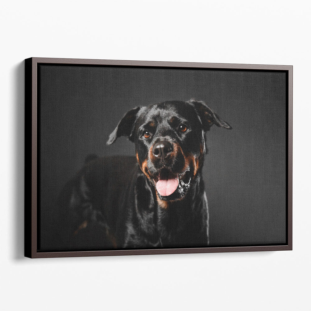 Rottweiler Dog on a Black Background - Canvas Print Wall Art