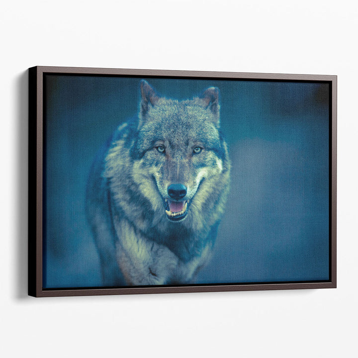 Scary Dark Gray Canis Lupus Wolf - Canvas Print Wall Art