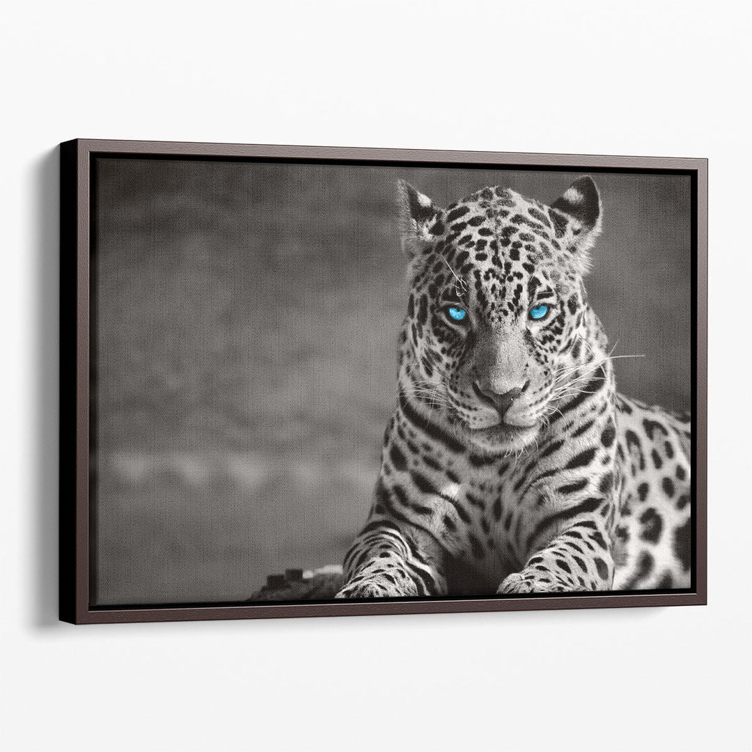 Black and White Jaguar With Blue Eyes - Canvas Print Wall Art