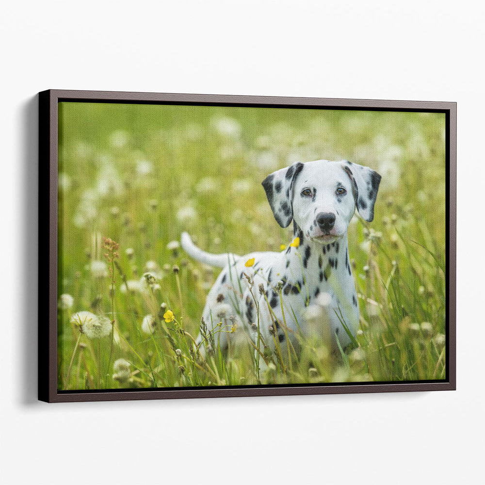 Dalmatian Puppy Standing in a Dandelion Meadow - Canvas Print Wall Art