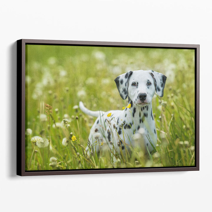 Dalmatian Puppy Standing in a Dandelion Meadow - Canvas Print Wall Art