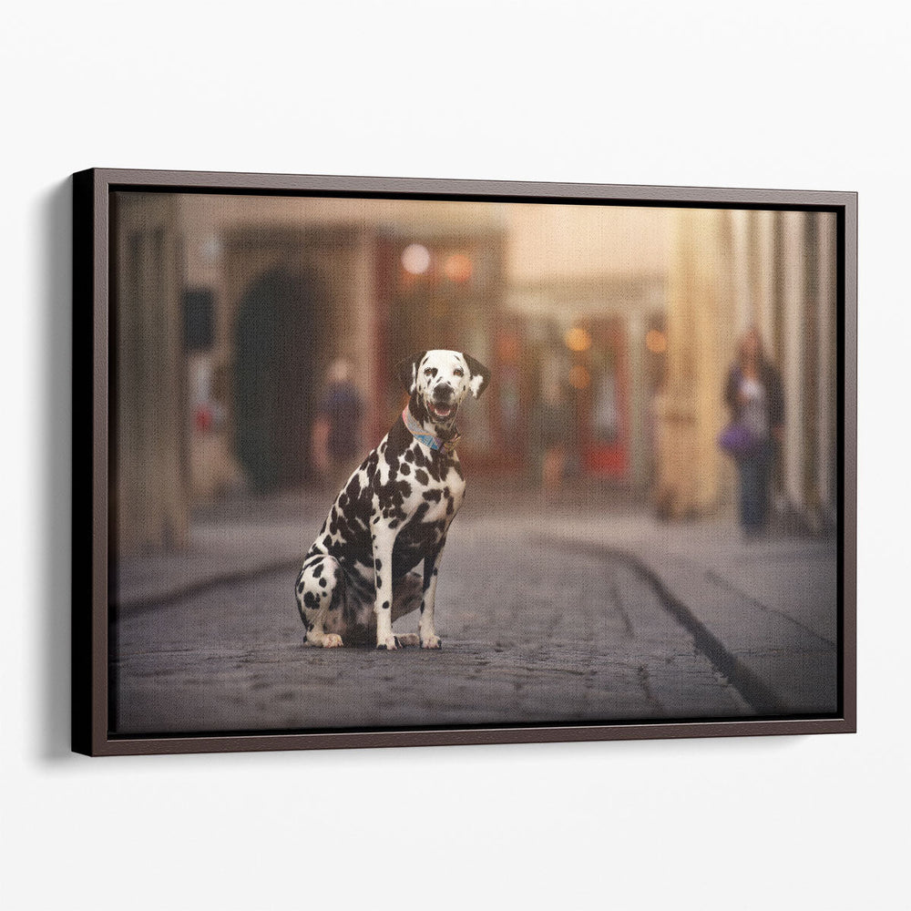 Dalmation Dog Sitting in a City - Canvas Print Wall Art