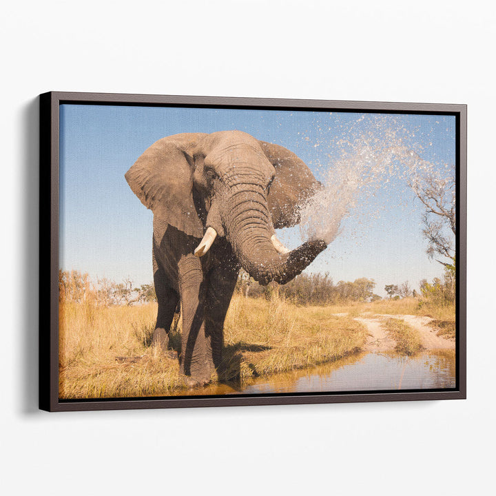 Elephant Spraying Water with his Trunk - Canvas Print Wall Art