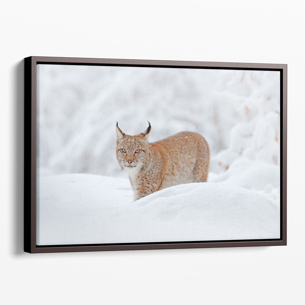 Eurasian Lynx in a Snowy Forest - Canvas Print Wall Art