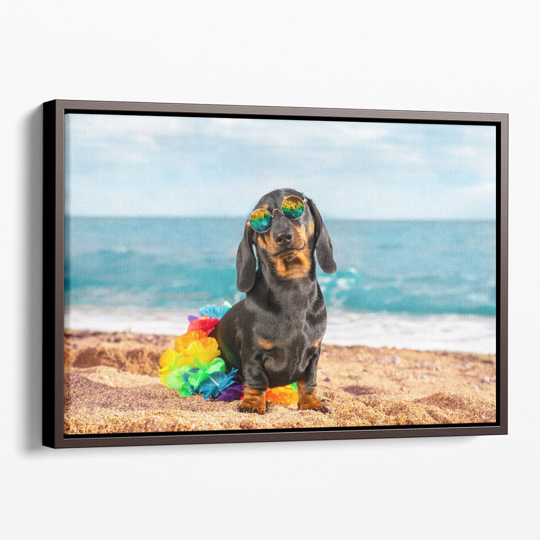 Funny Dachshund Puppy in its Style Sitting On a Beach - Canvas Print Wall Art