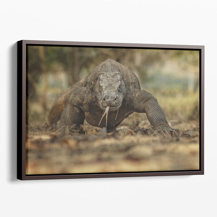 Komodo Dragon in the Beautiful Nature Habitat - Canvas Print Wall Art