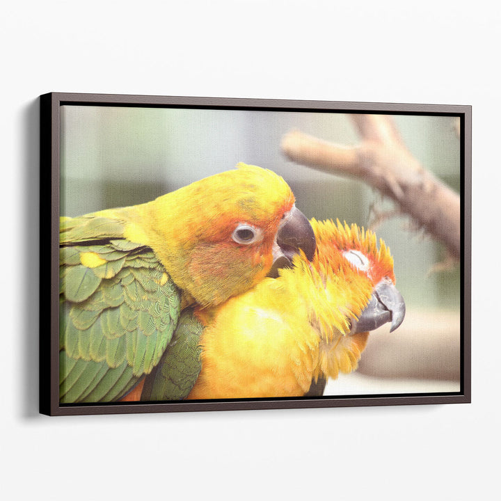 Lovely Parrots Couple - Canvas Print Wall Art