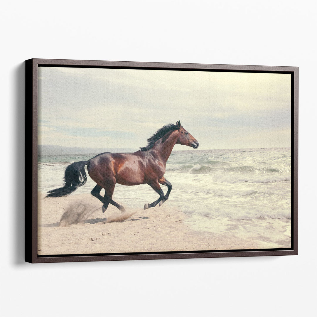 Marine Landscape With Beautiful Bay Horse - Canvas Print Wall Art