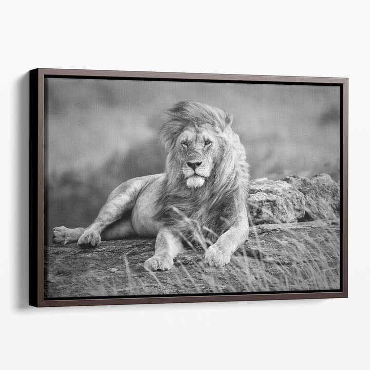 Mighty Lion in the African Savannah - Canvas Print Wall Art