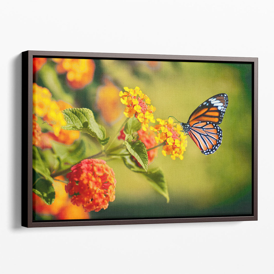 Monarch Butterfly on Lantana Flower - Canvas Print Wall Art