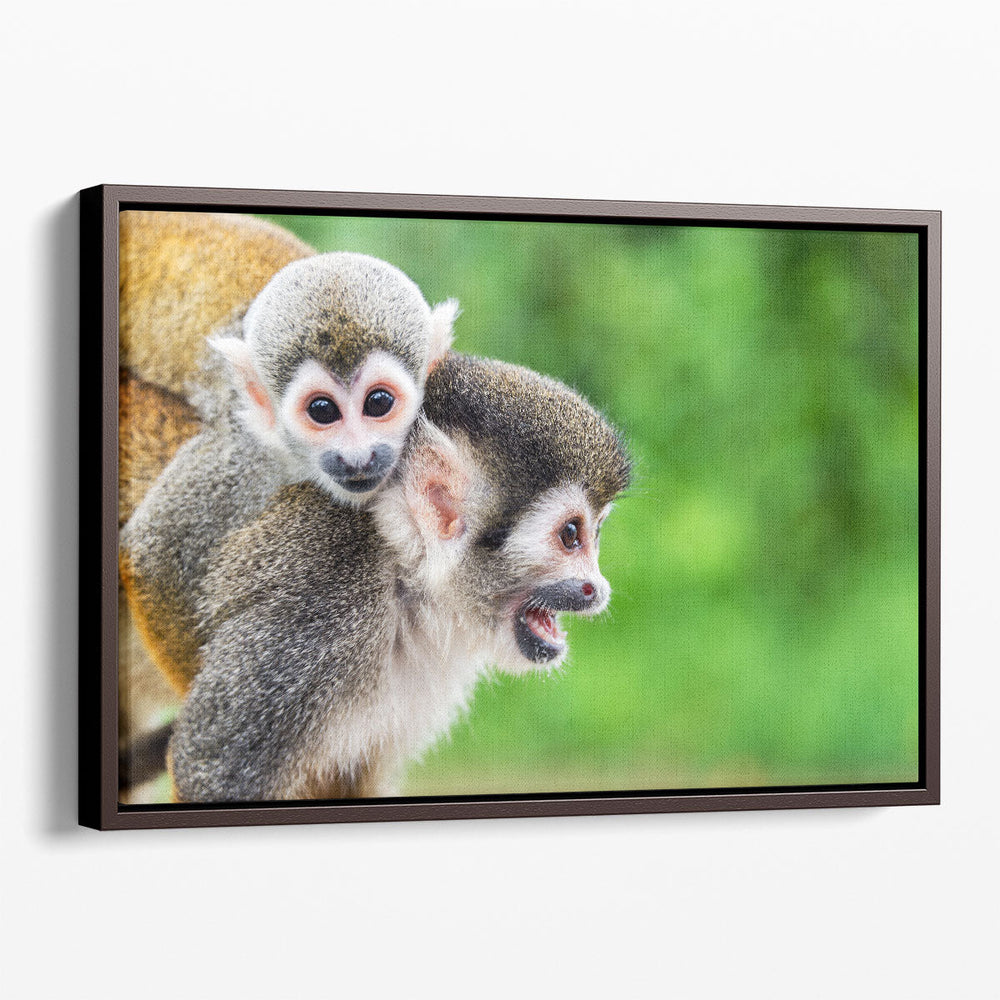 Mother Squirrel Monkey With her Child - Canvas Print Wall Art