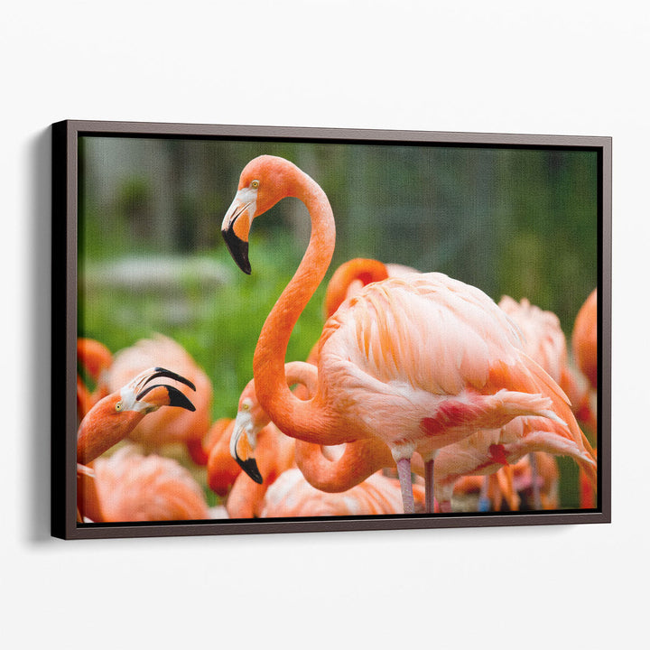 Pink Flamingos Against Green Background - Canvas Print Wall Art