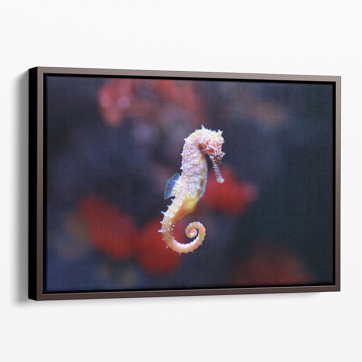 Seahorse or Hippocampus Swimming - Canvas Print Wall Art