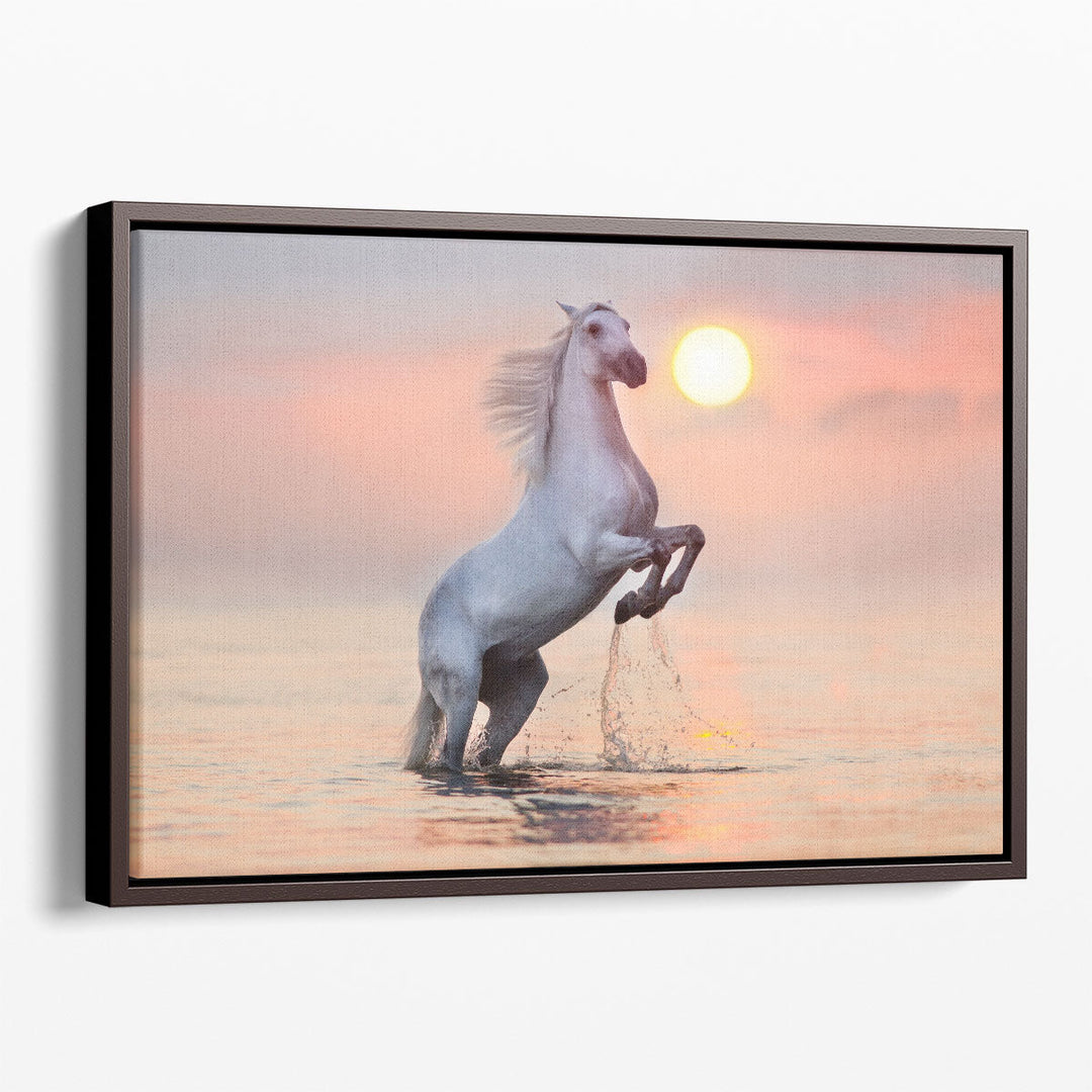 White Stallion Rearing Up with Splash in Water at Sunrise - Canvas Print Wall Art