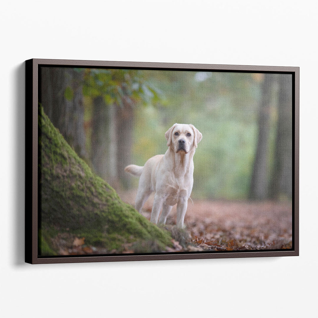 Yellow Labrador Retriever Standing in a Forest - Canvas Print Wall Art