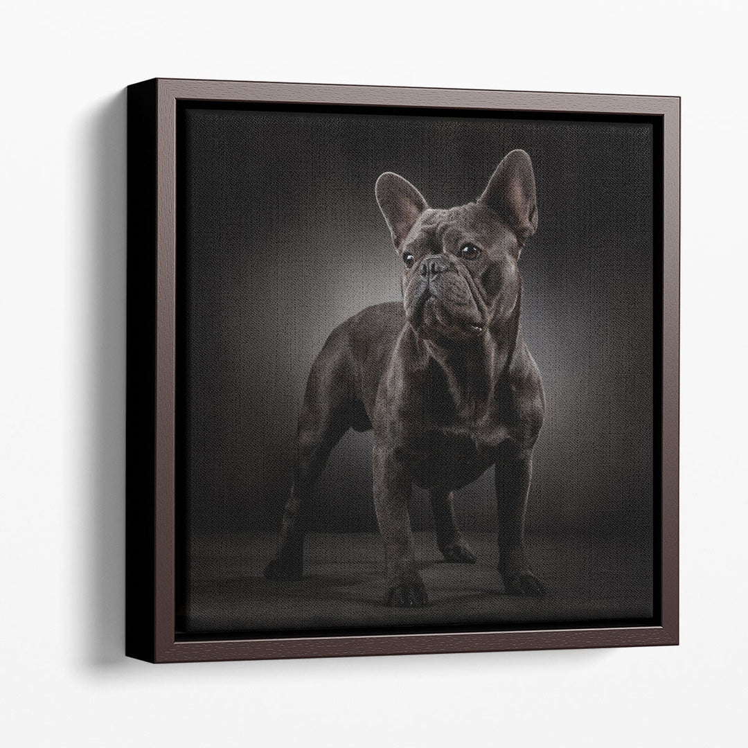 Portrait of a French Bulldog - Canvas Print Wall Art