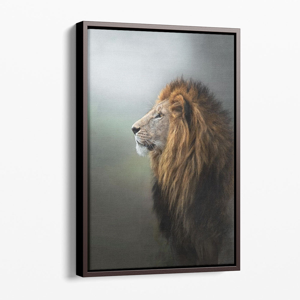 Magnificent Lion With A Large Lush Head of Hair - Canvas Print Wall Art