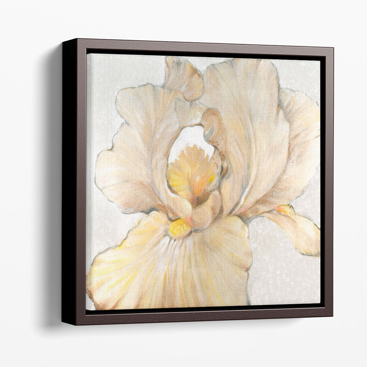 Iris Cream I - Canvas Print Wall Art