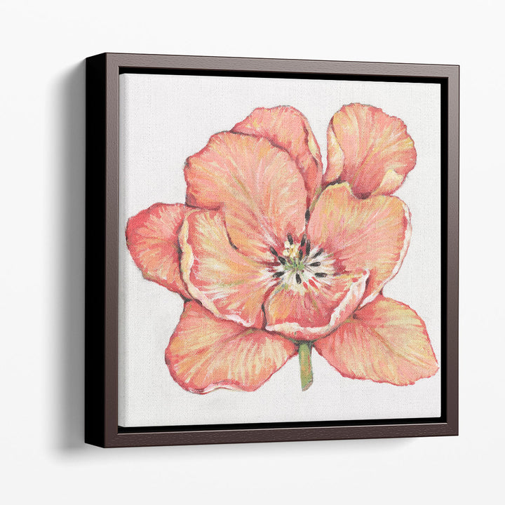 Spring Tulip Bloom I - Canvas Print Wall Art