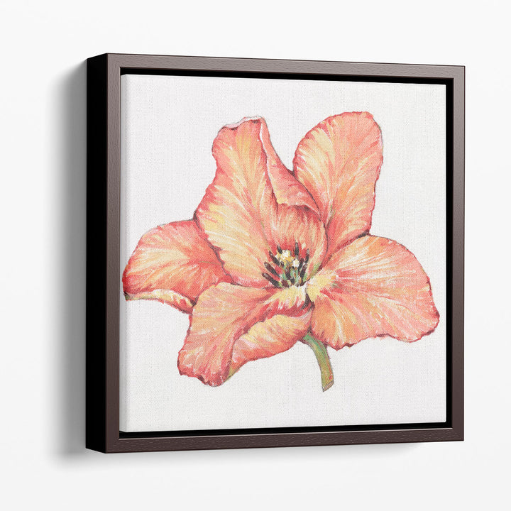 Spring Tulip Bloom II - Canvas Print Wall Art