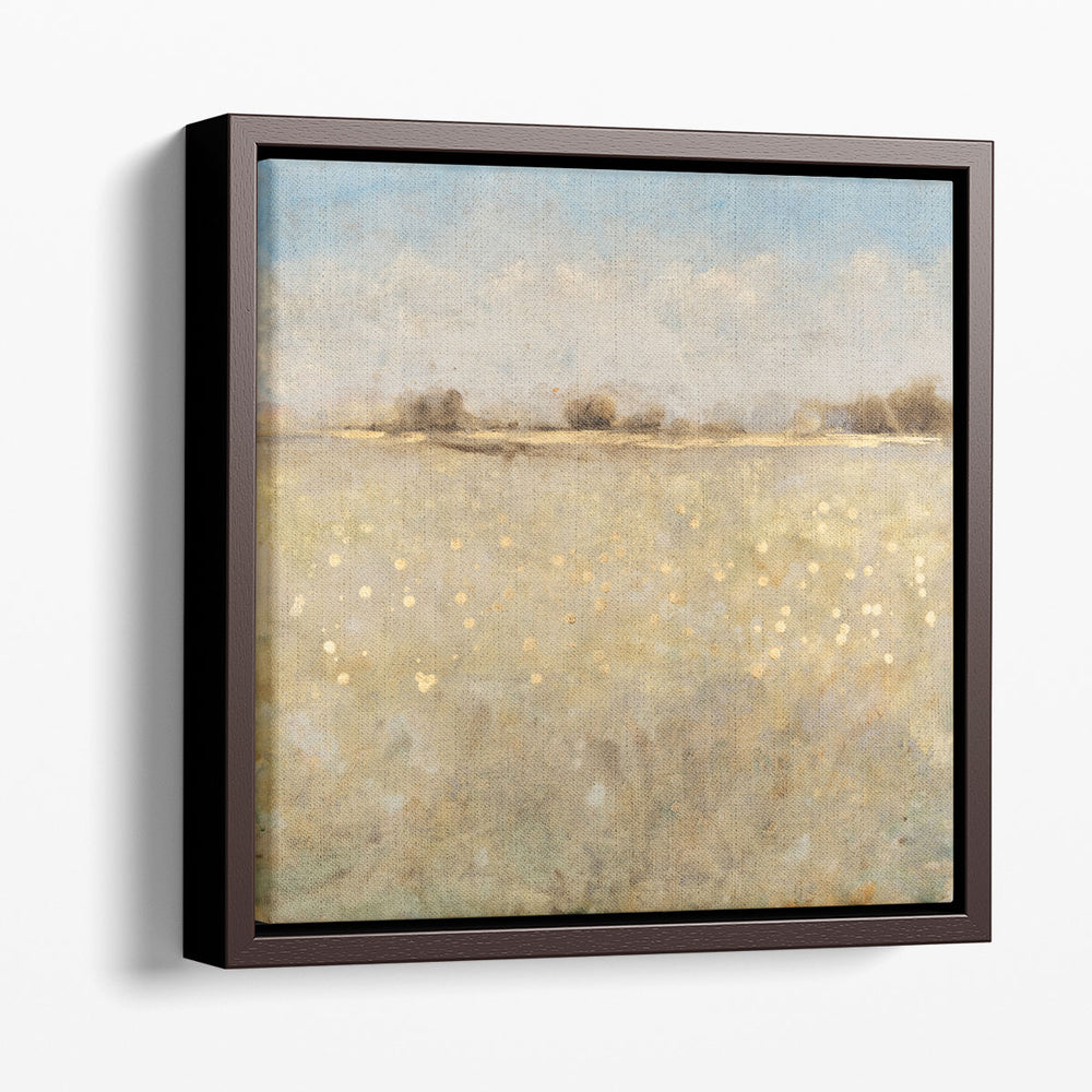 Meadow Plane I - Canvas Print Wall Art