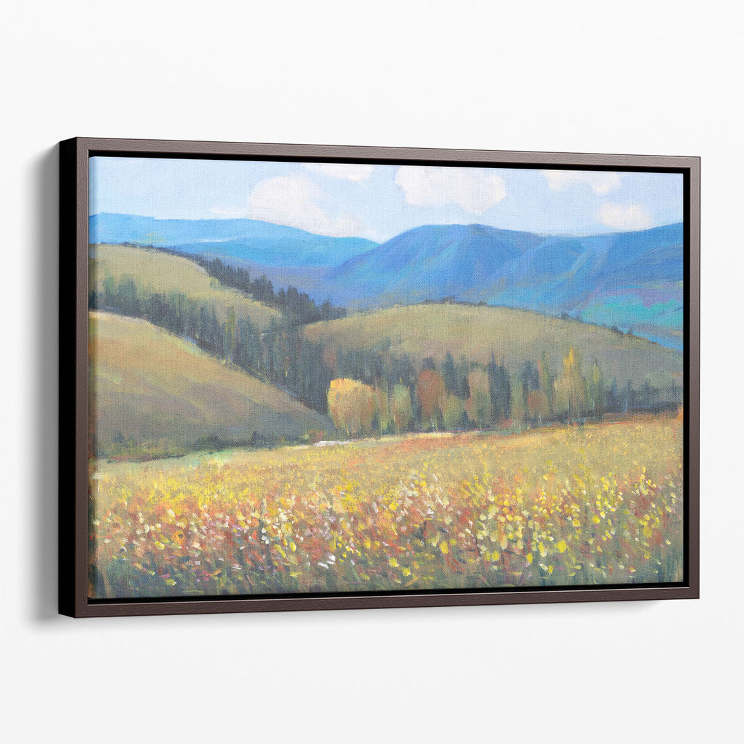 Mountain Pass I - Canvas Print Wall Art