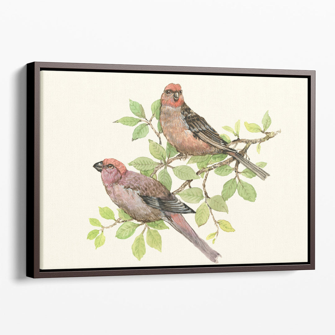 Song Birds II - Canvas Print Wall Art