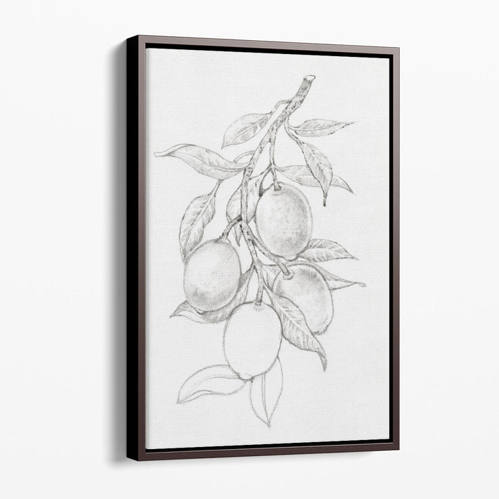 Fruit-Bearing Branch I - Canvas Print Wall Art