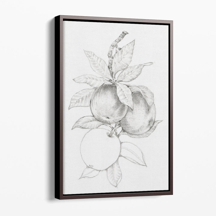 Fruit-Bearing Branch II - Canvas Print Wall Art