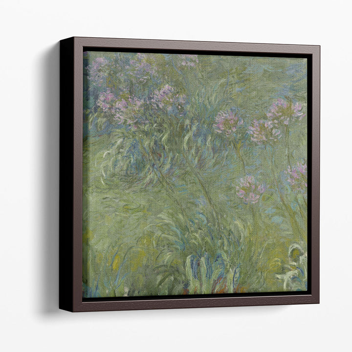 Agapanthus, 1914-26 - Canvas Print Wall Art