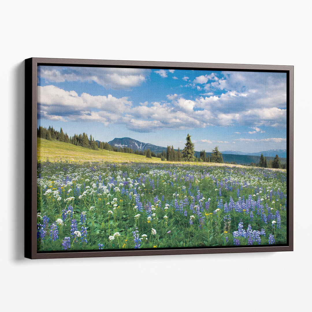 Trophy Meadows - Canvas Print Wall Art