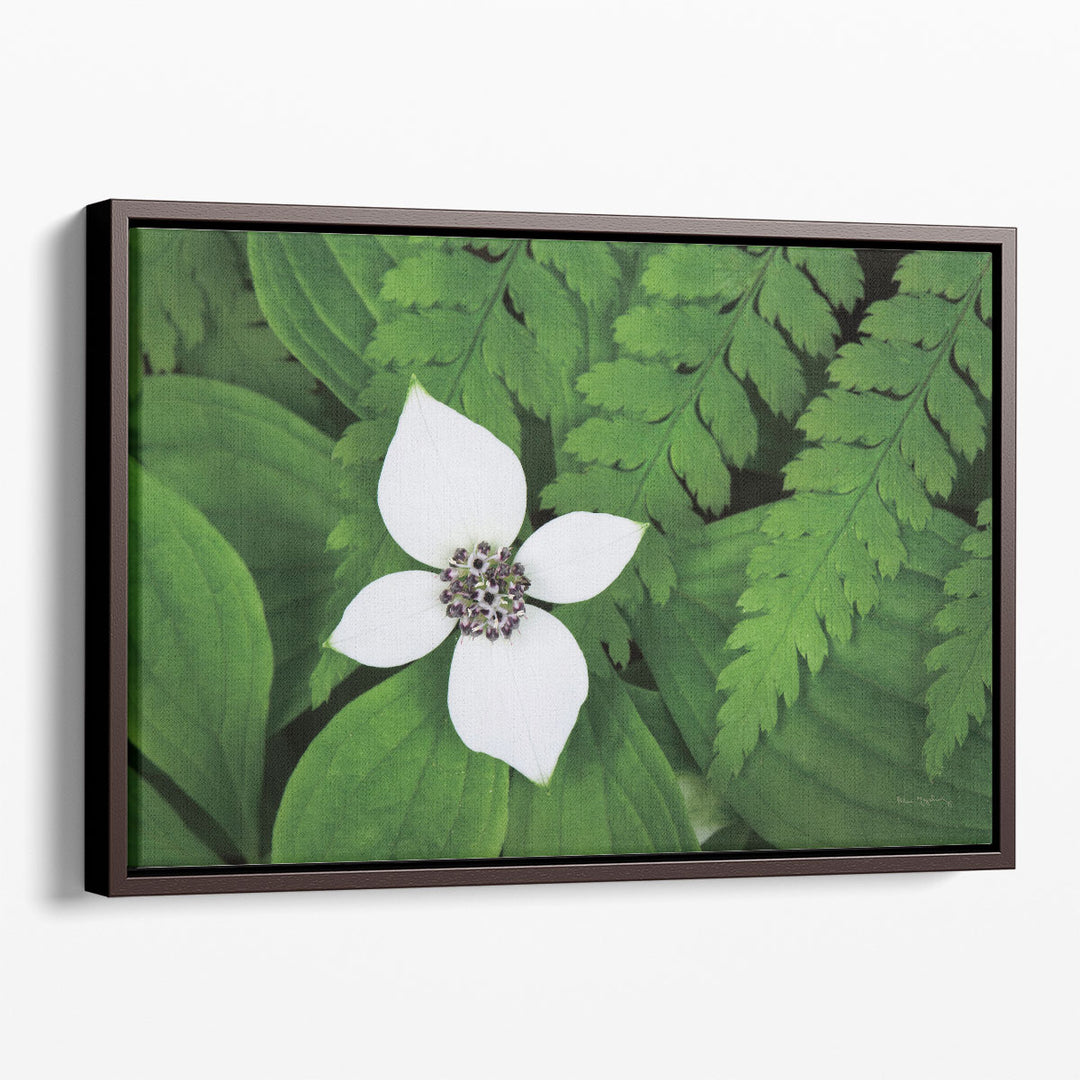 Bunchberry and Ferns I - Canvas Print Wall Art