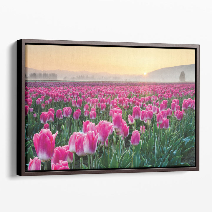 Skagit Valley Tulips I - Canvas Print Wall Art