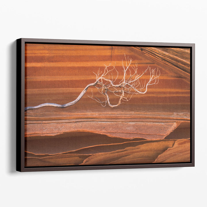 Coyote Buttes III - Canvas Print Wall Art