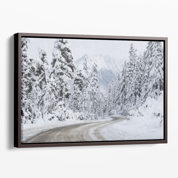 Mount Baker Highway I - Canvas Print Wall Art