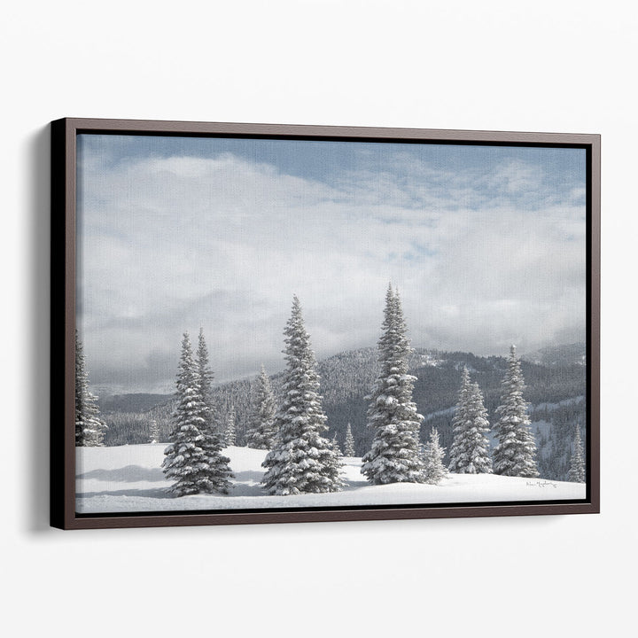 North Cascades in Winter II - Canvas Print Wall Art