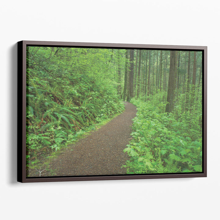 Hiking Trail in Columbia River Gorge I - Canvas Print Wall Art