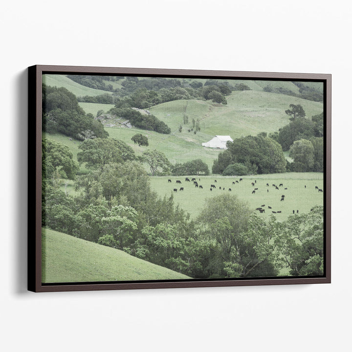 Marin California Ranch - Canvas Print Wall Art