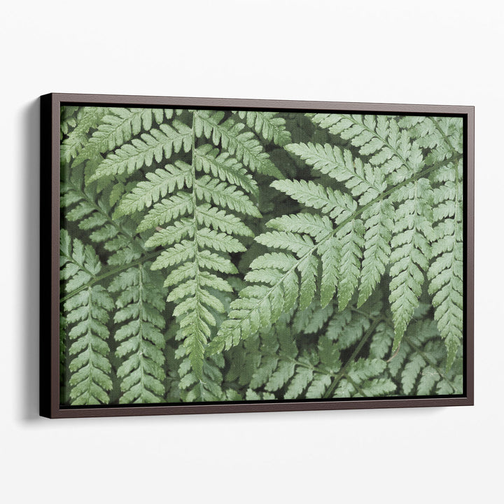 Lady Ferns II - Canvas Print Wall Art