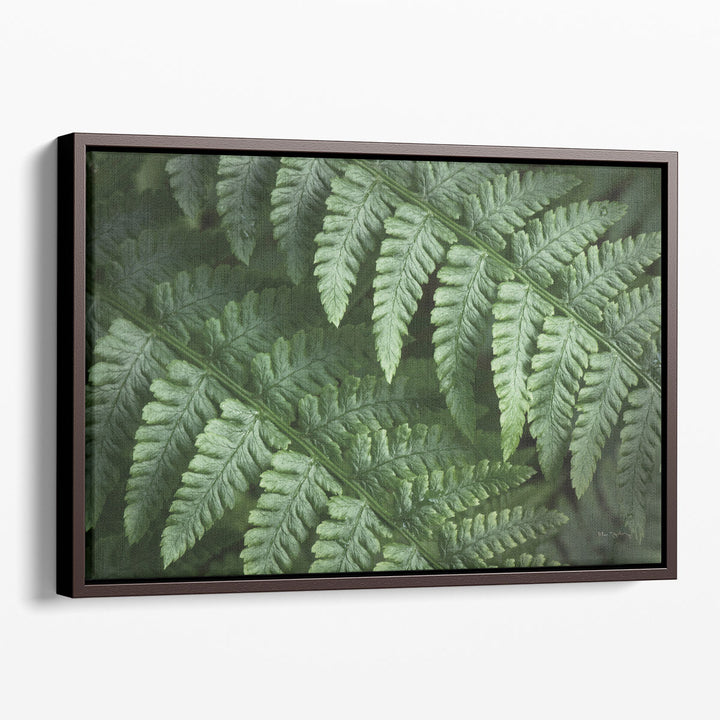 Lady Ferns III - Canvas Print Wall Art