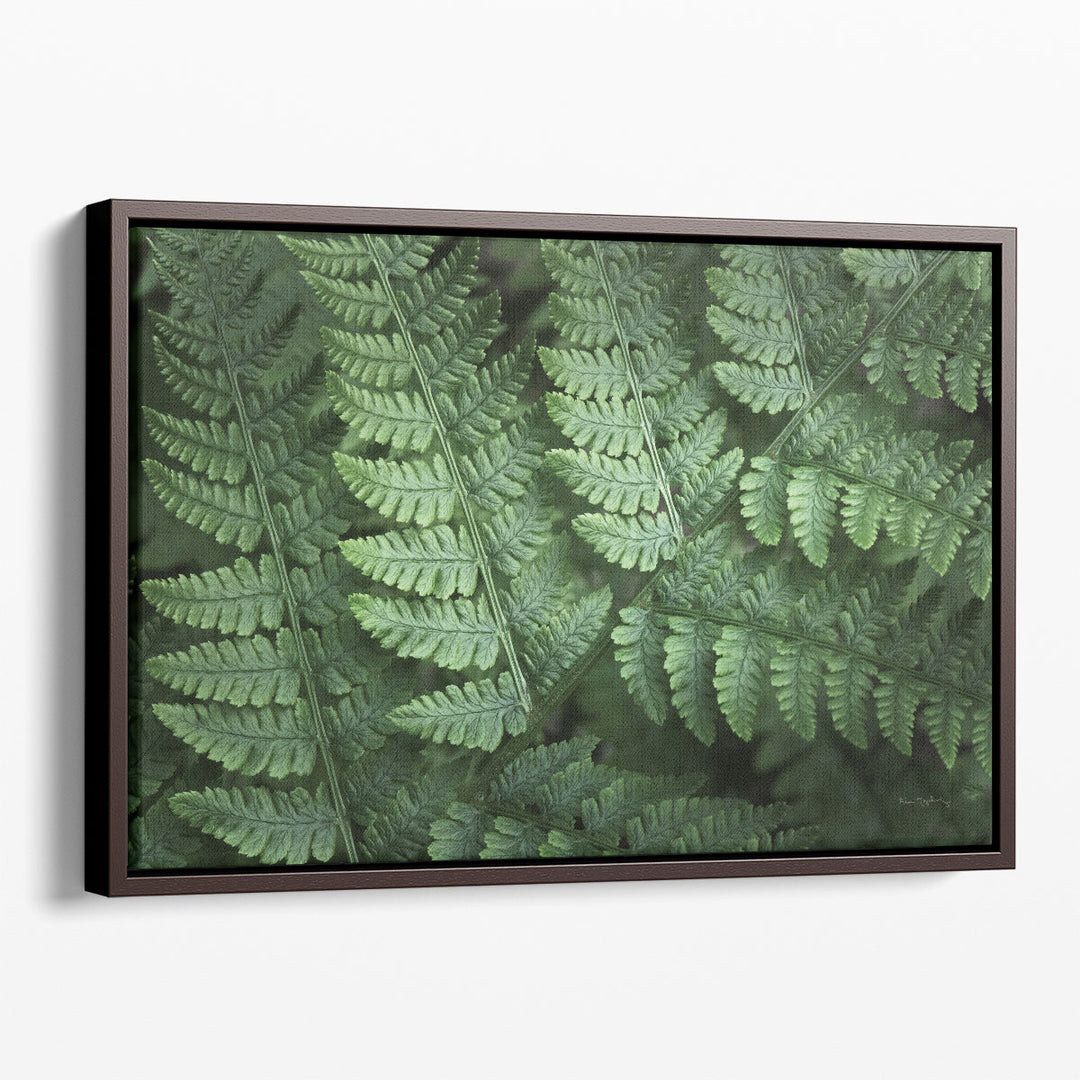 Lady Ferns IV - Canvas Print Wall Art